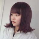 보그헤어 북수원조원점