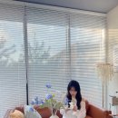 호영이네 하우스 | [후기] 춘천여행 에어비엔비 독채 숙소 추천 호영이네하우스