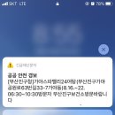 가야스파벨리 네이버블로그