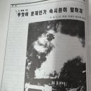 특집 LA 폭동 1년 무엇이 문제인가 속시원회 말하자. 이미지