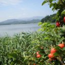 화진포호수 이미지