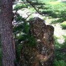 계곡사랑 이미지