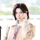배이