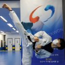 경희대 석사 삼성 태권도 이미지