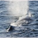 자연과한의원 수원 이미지