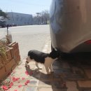 골든타워 앞(2) | [태안] 가족여행 4인 오션뷰펜션 골든비치펜션 내돈내산