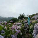 고흥-1호 이미지