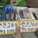 안동민박