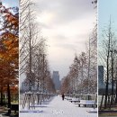 둔산아름다운사진 이미지