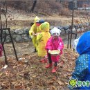 아이숲어린이집 이미지