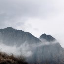 서남복사 이미지