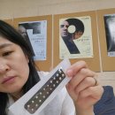 개이뻐 | 더블유비엘. 붙이는 주얼패치로 이뻐지기 구매후기