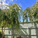 화담별서 이미지