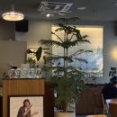 마일드하이클럽 주식회사(MILD HIGH CLUB INC.) | 압구정 데이트·모임하기 좋은 브런치 & 다이닝 맛집 [마일드하이클럽]