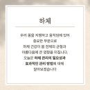 더미인에스테틱