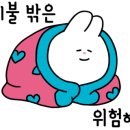 원도안로-16 이미지