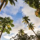 세인트루시아 이미지