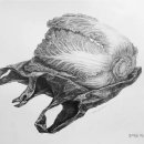 연필 드로잉 이미지