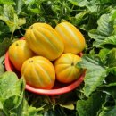 금사농장 이미지