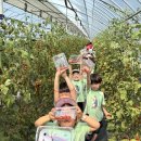 바다의별유치원 이미지