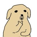 살만해져서 적는 유니클로 vs 올리브영 알바 비교글 [시급, 업무 강도, 혜택, 분위기 등 ] _ 일방적인...