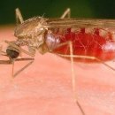 경희자운한의원 이미지