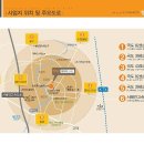 동바루호