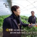 대박 제2농장 이미지