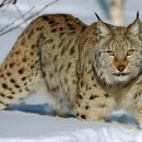 이성순농장 이미지