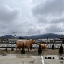 옥산식육식당 옆 이미지