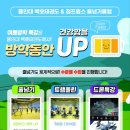 용인대윙스태권도장 이미지