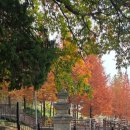 범방동 삼층석탑 이미지