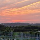 해넘이농장 이미지