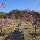 한은농장 이미지