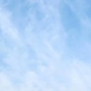 몬테드해머리 이미지