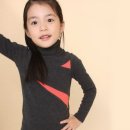 엠버(Amber) 이미지