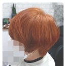 미가헤어라인 이미지
