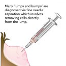 늘봄동물병원 이미지