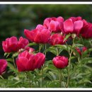 실내체육관 앞 이미지