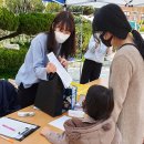 효동초교병설 이미지