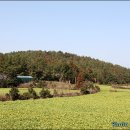 하천리-1 이미지