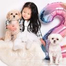 고려대역 증명사진 전문 업체 추천 List 6곳