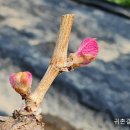 이쁜것들 이미지