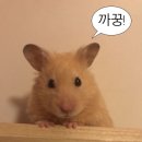 이디야커피 울산역점