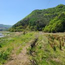 강변 농장 이미지