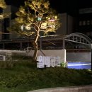 [대구/월배] 네이버 지도에도 아직 안 뜨는 숨은 명소...신상공원 '월배공원' 밀착 후기! #반려견산책...
