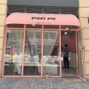 퍼피팝 | [김포 수제간식]다양한 종류의 건강한 수제간식이 있는 퍼피팝