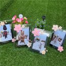 부산애견유치원 댕스하우스 이미지