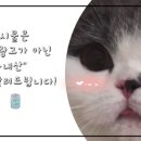 매머드익스프레스 호계데시앙플렉스점 이미지