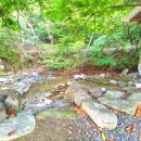 삼박골펜션 이미지